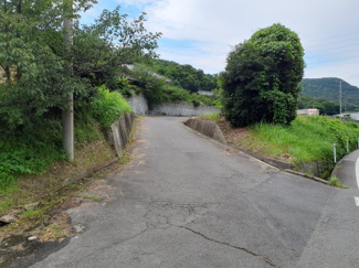 【その他】 | 坂出市川津町　売地 | 前面道路

