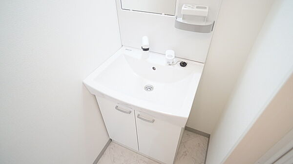 アクアマンション江戸橋の洗面所