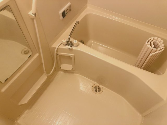 プランドールの浴室