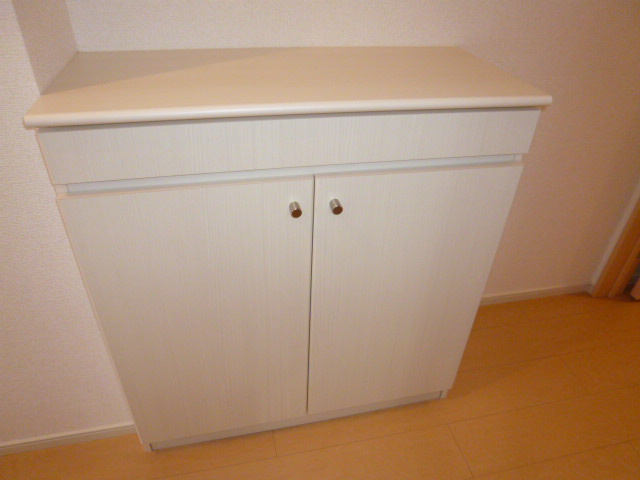 アステールの玄関|シューズボックス