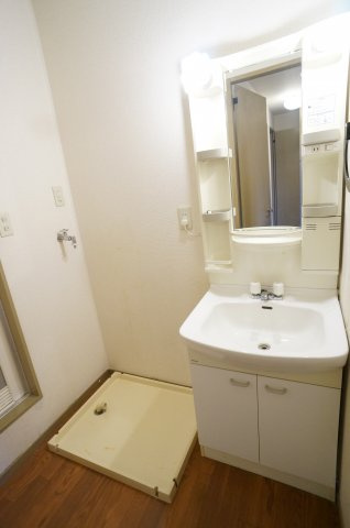 カーサアゼリア Aの洗面所