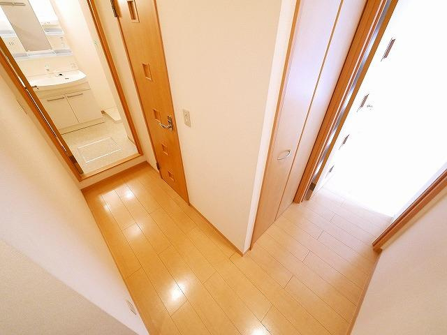 コスモス　オーゼのその他