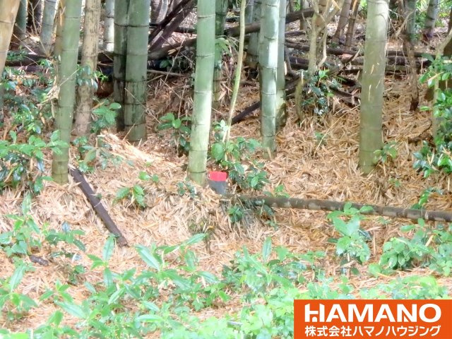 筑西市下高田土地　約337坪の外観