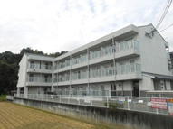 ドミトリーユーの画像