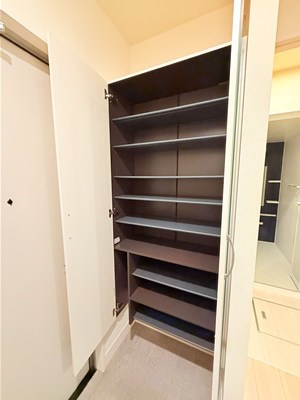 ダイワスイートⅡのその他