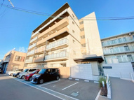 ”シャムロック・N”の画像