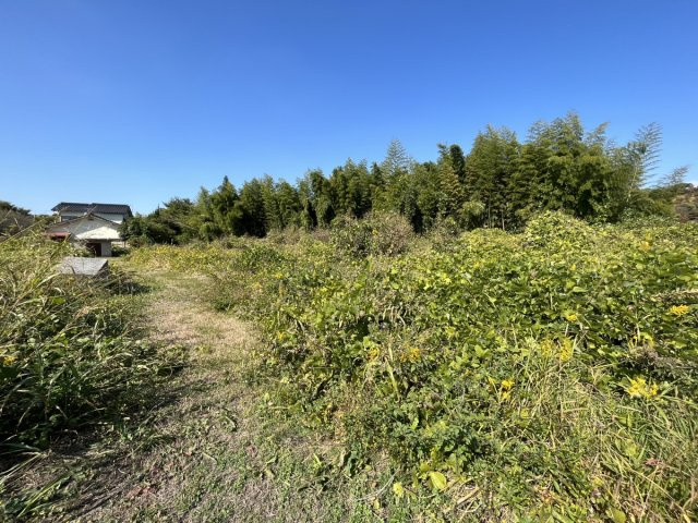 【外観】 | 奈良売地