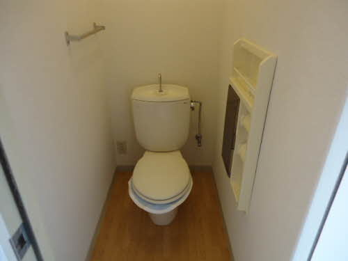 岸和田市箕土路町１丁目のハイツのトイレ|トイレも気になるポイント