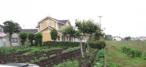 合志市野々島売地の外観|家庭菜園で利用されていました外観です(7月１１日撮影）