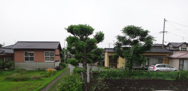 合志市野々島売地の周辺|(7月１１日撮影）