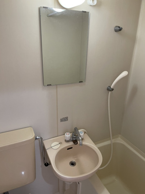 【洗面所】 | ヨコハマベイストロベリーインターナショナル | 洗面台付き