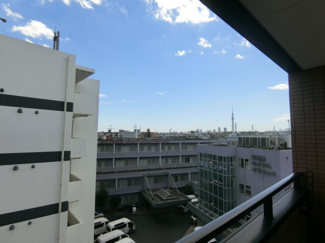 【展望】 | スカイツリーが望めます
