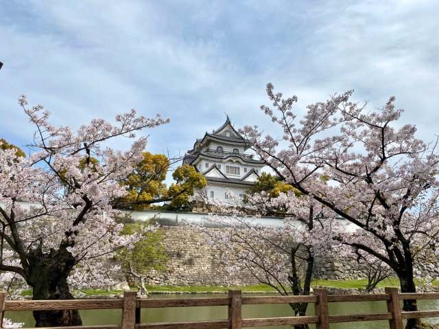 セジュール岸和田の周辺|岸和田城