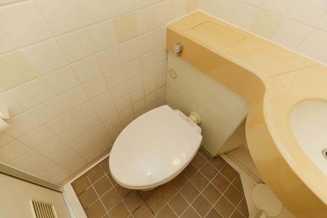 ライオンズマンション西小岩第三のトイレ