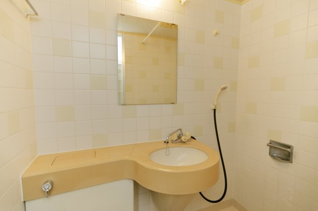 ライオンズマンション西小岩第三の洗面所