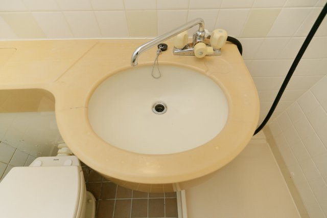 ライオンズマンション西小岩第三の洗面所