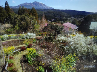 detached 霧島田口