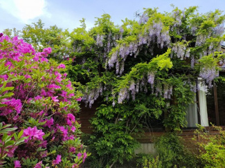 detached 霧島田口