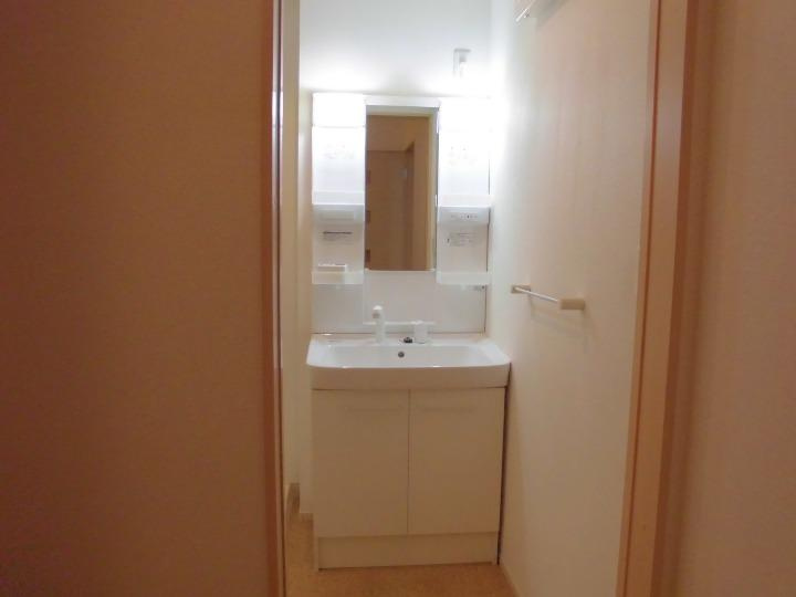 エレガント・ヒルズⅡの洗面所