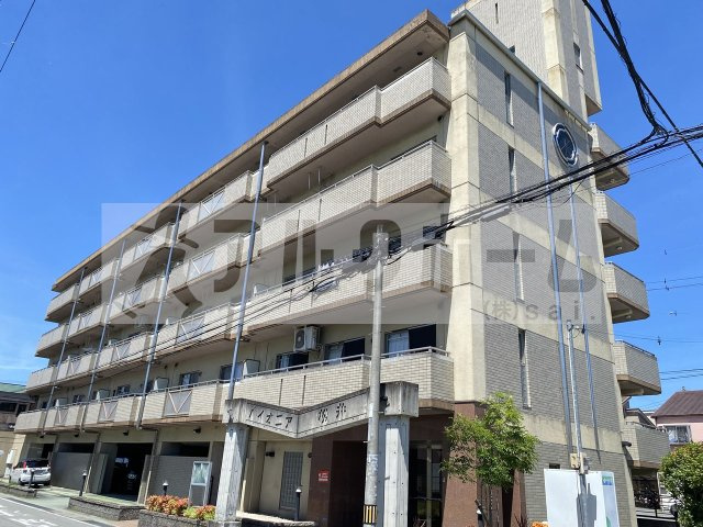 パイオニア松井の外観