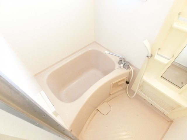 シャトー・ド・イワネ17号館の浴室|同物件別部屋イメージ写真