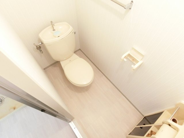 シャトー・ド・イワネ17号館のトイレ|同物件別部屋イメージ写真