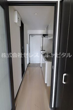 INDIA GOOSEの展望