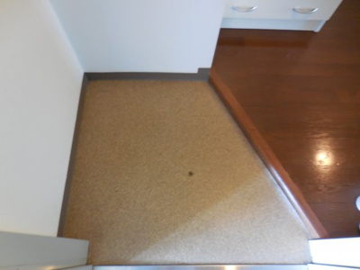 【玄関】 | サニーコート豊村