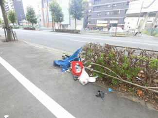 【周辺】 | ゴミ置場です。