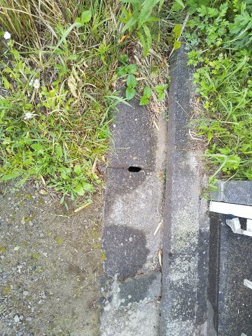 【前面道路含む現地写真】 | 大網白里市柳橋　土地