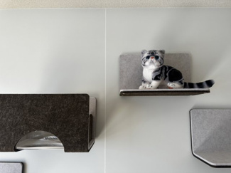 【居間・リビング】 | エントランスライフ白梅町