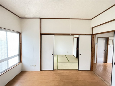  | ドリームフェリーチェⅡ