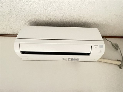  | ドリームフェリーチェⅡ