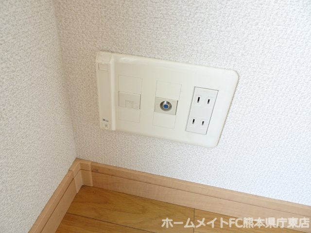 カーサ・サリーレのその他
