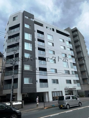 Picot　Ⅶの外観|外はこのようになっています