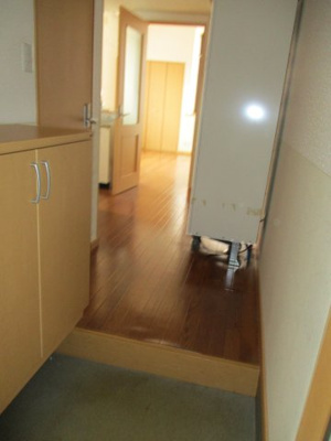 【玄関】 | オレンジヒルズJ2