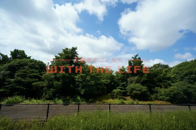 ステラコート参番館【キャッシュバック対象物件】の展望