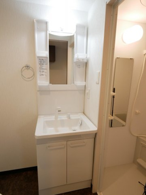 【独立洗面台】 | フラッティ衣笠