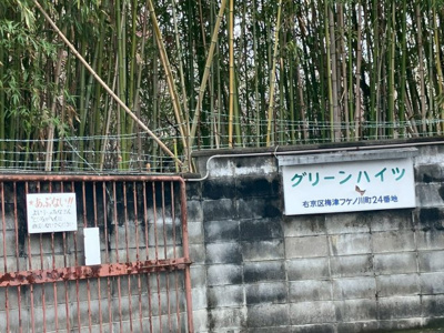 【周辺】 | グリーンハイツ