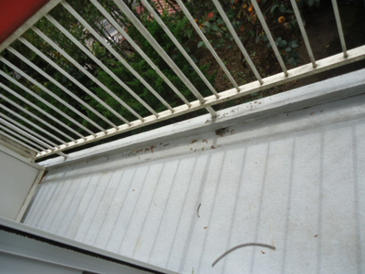 【バルコニー】 | メゾンフラットこてはし