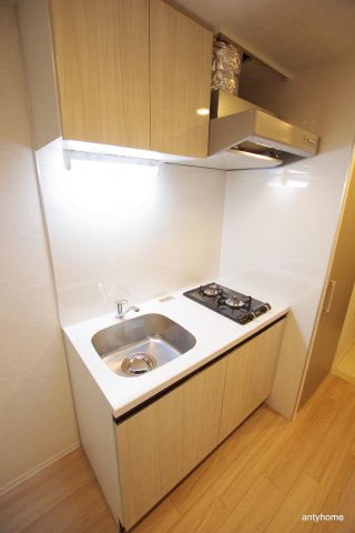 レジュールアッシュOSAKAデイフィール 仲介手数料無料のキッチン