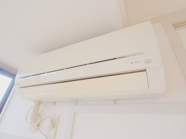 レヴェネスカのその他