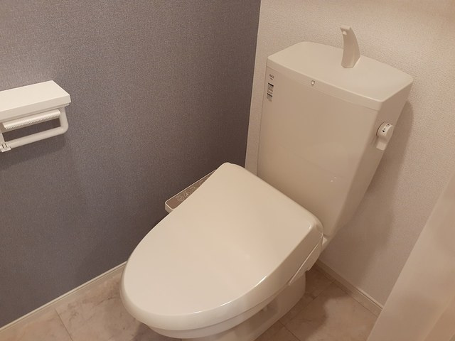 ラウレアのトイレ