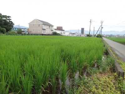 【外観】 | 大津町室土地 | 西側外観、西側より写真撮影