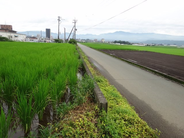 大津町室土地の外観|西側外観、西側より南面道路含む写真です