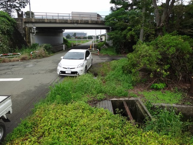 大津町室土地の周辺|物件より西側を撮影、道路より約80ｃｍの高さがあります