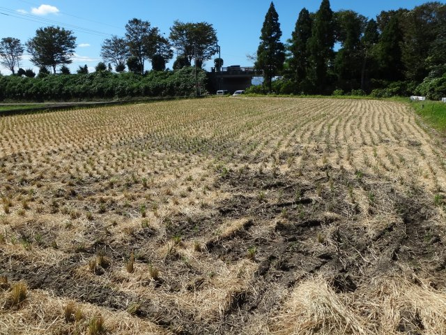 大津町室土地の外観|大津町室　北東側から撮影１０月１０日
