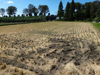 【外観】 | 大津町室土地 | 大津町室　北東側から撮影１０月１０日
