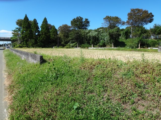 大津町室土地の外観|大津町室　南東側から撮影１０月１０日