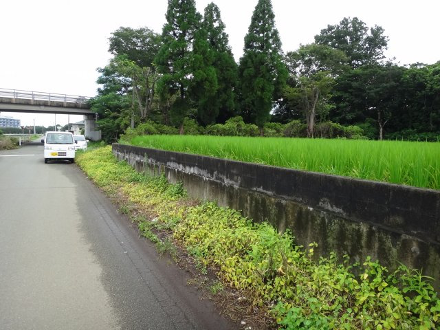 大津町室土地の外観|東側からの外観です